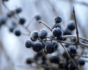 Україну у квітні накриє скандинавський холод: коли чекати різкого зниження температури