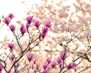 Синоптики здивували прогнозом на п'ятницю